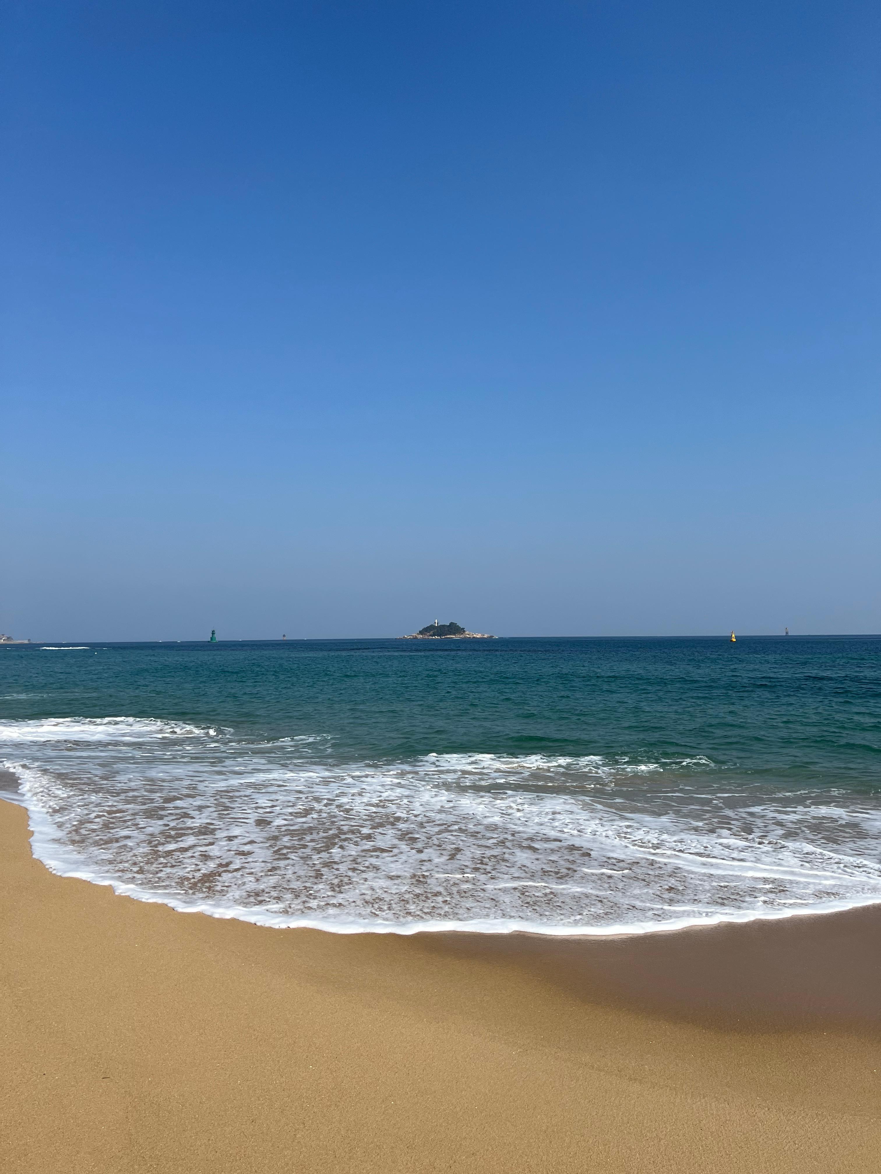 갈라파고스는 인류가 자연을 이해하는 방식을 바꾼 장소