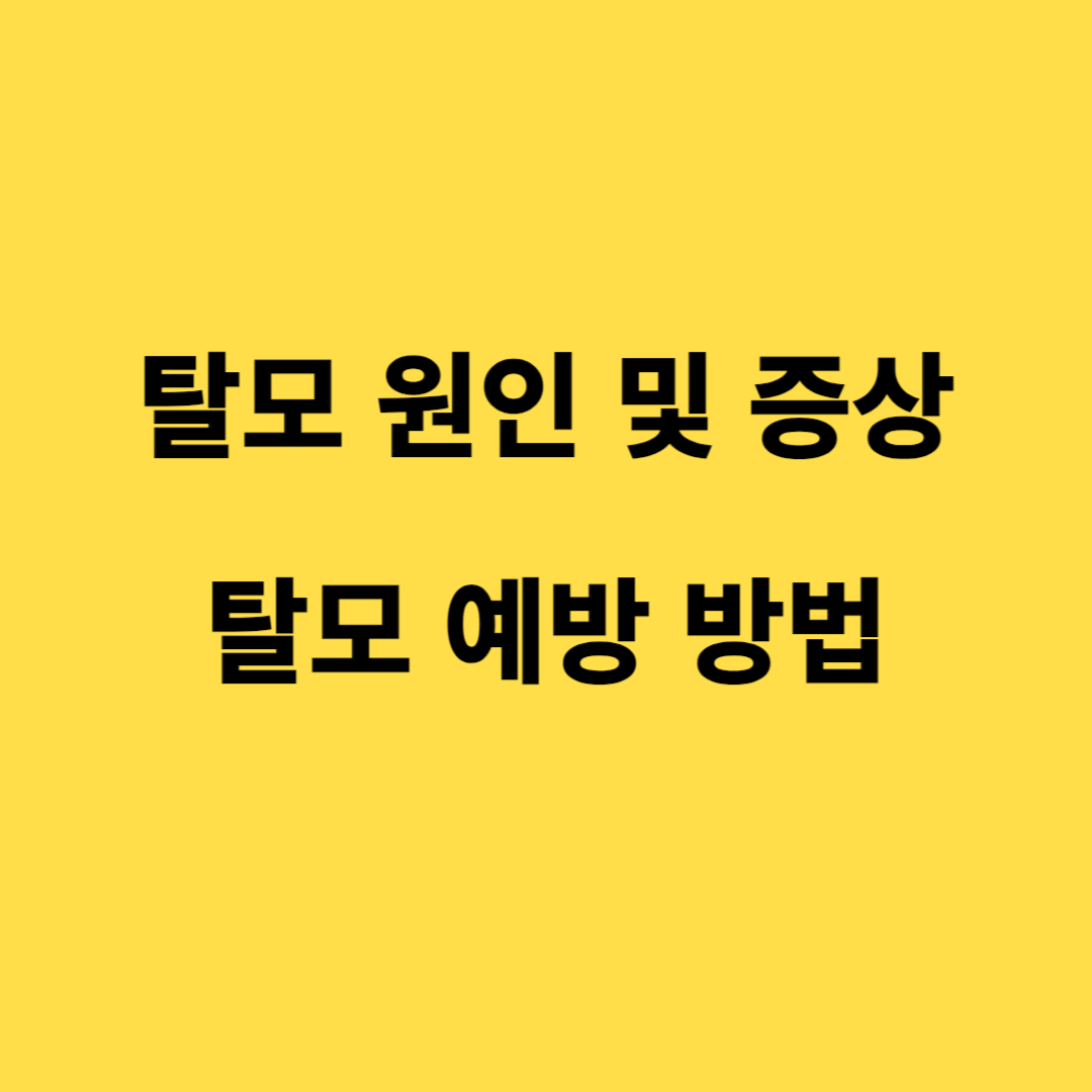 탈모 원인 및 증상, 탈모 예방 방법