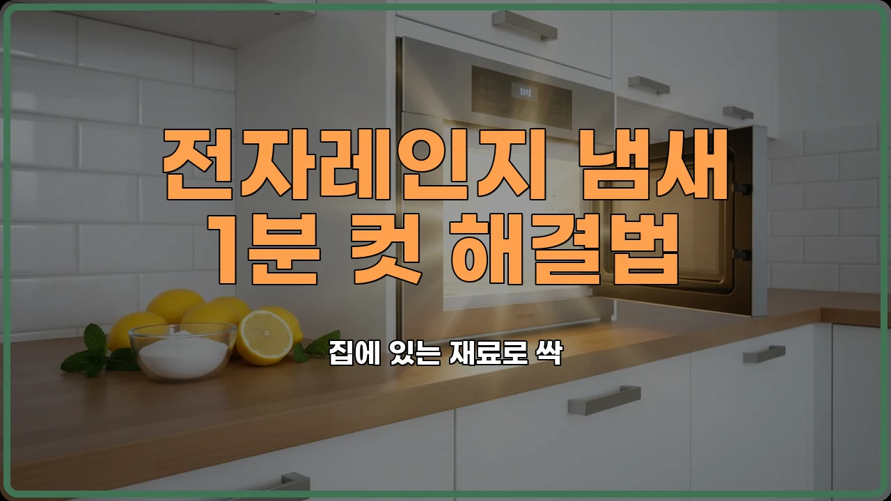 전자레인지청소