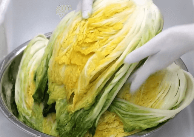 쩔임배추 썸네일