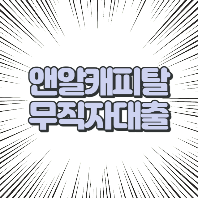 앤알캐피탈 무직자대출