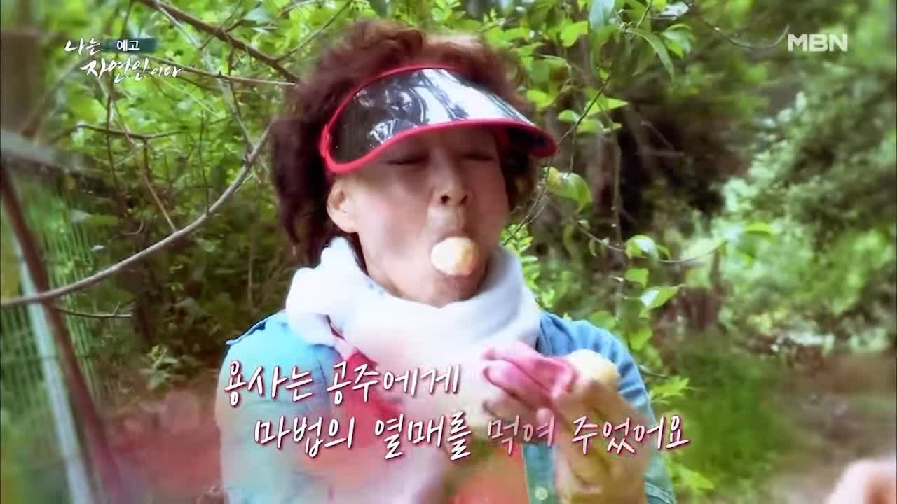 이승윤 윤택 나는 자연인이다 511회 나의 첫 독립일기 자연인 이영숙 소개 및 출연 다시보기