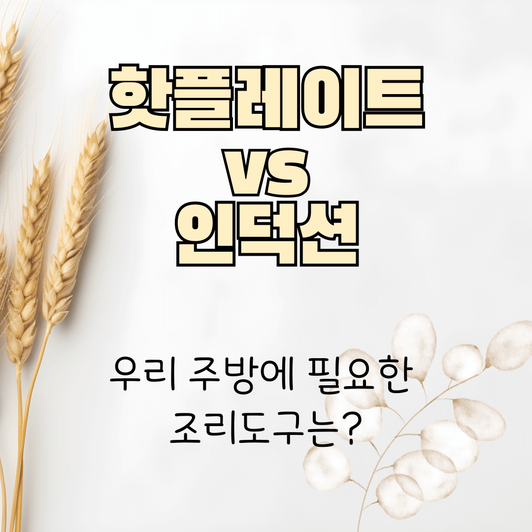 핫플레이트 vs 인덕션