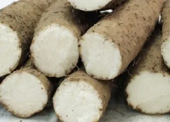 마 효능 보관법 먹는법 마즙 만들기까지 종합 가이드_15