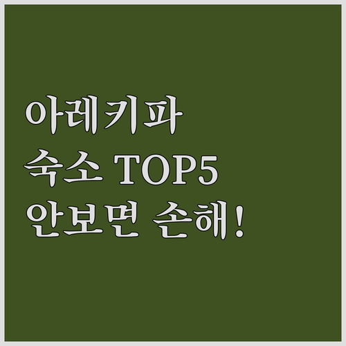 아레키파 여행 필수 숙소 5곳 리얼 ..