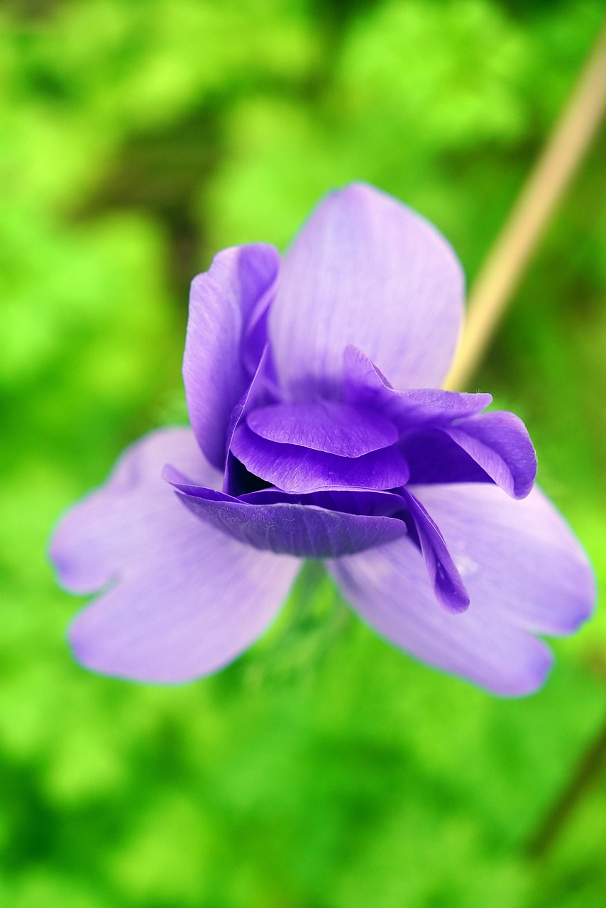 청년·신혼부부를 위한 재테크, 정부의 재정 지원방식