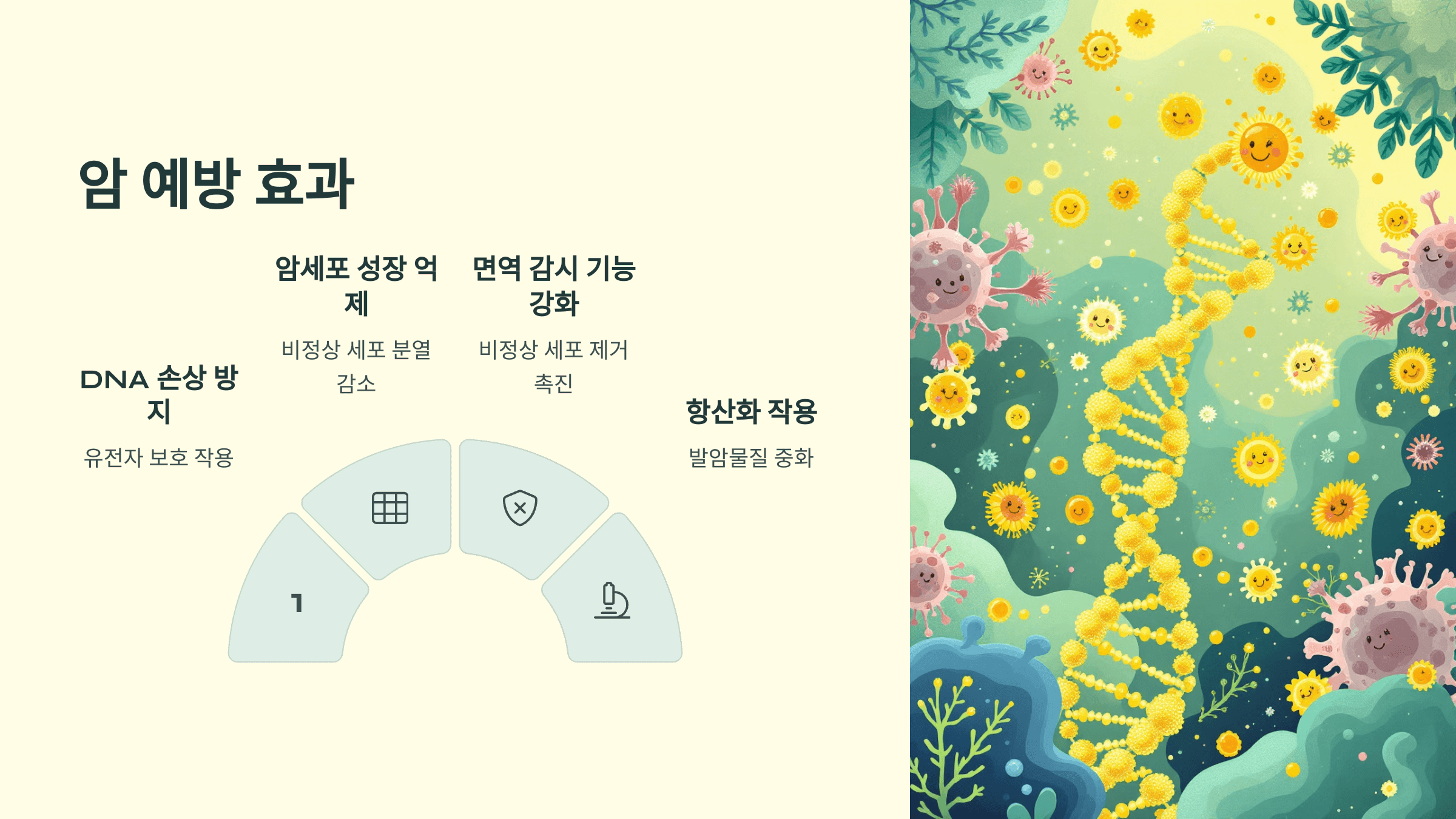 비타민C와 관련된 사진입니다.