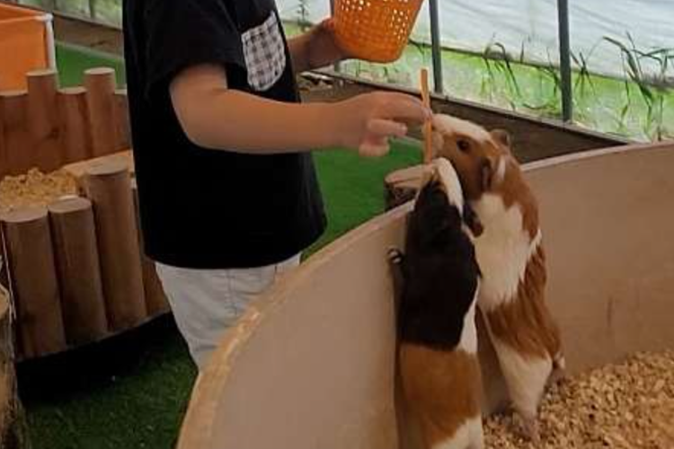 센트럴 곤충 생태농장