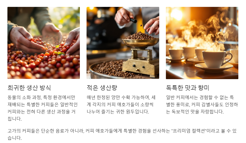 비싼 커피가 특별한 이유