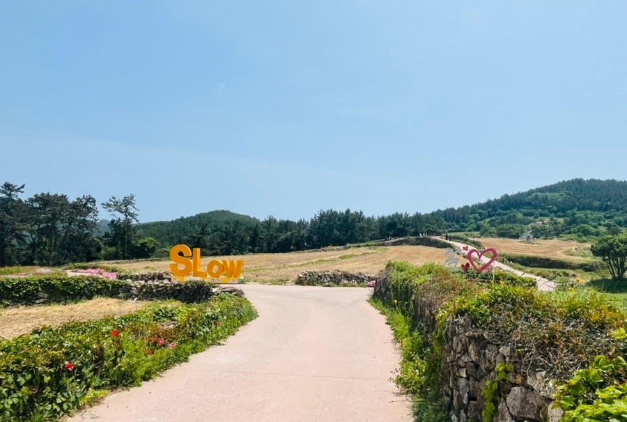 생생정보 믿고 떠나는 스타의 고장