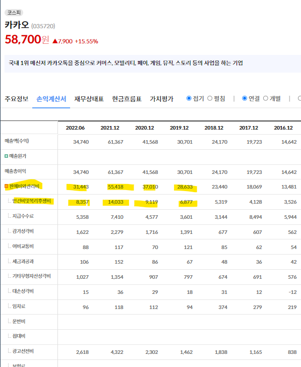 카카오 판매관리비 세부내역