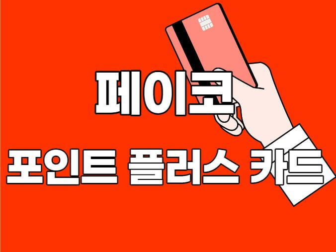 페이코포인트플러스카드