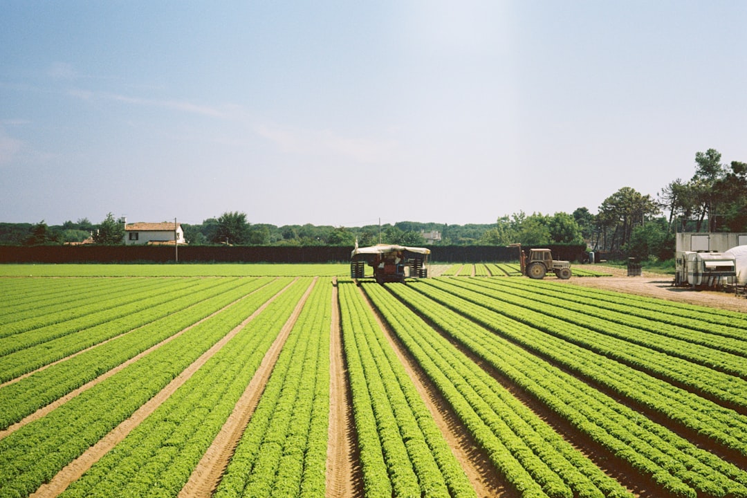 '농민수당'을 영어로 번역하면 'Farming Allowance'가 적합합니다.