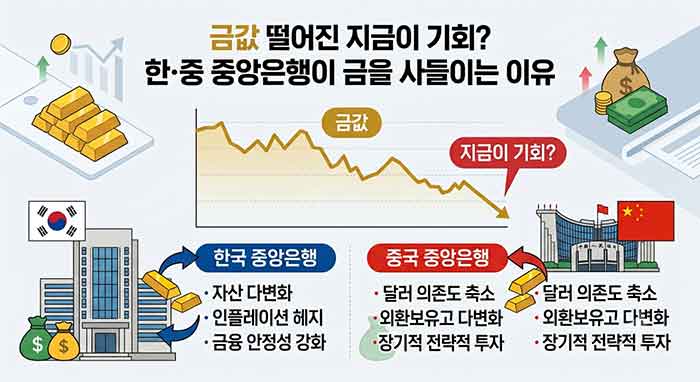주식 그래프로 표현.