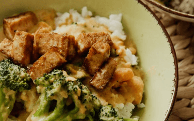 위 절제 후 식단