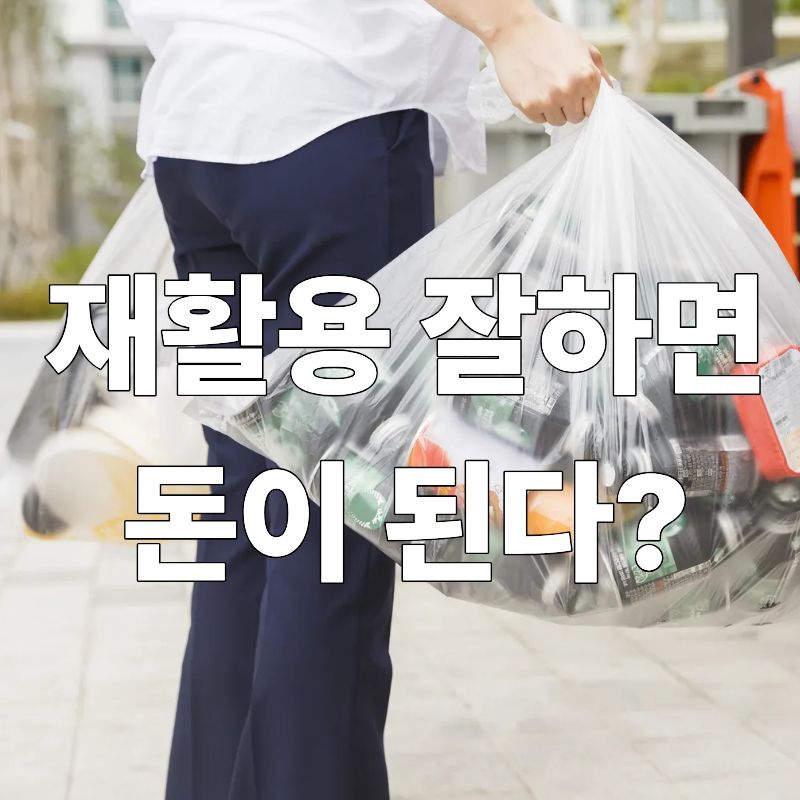 재활용 잘하면 돈이 된다?