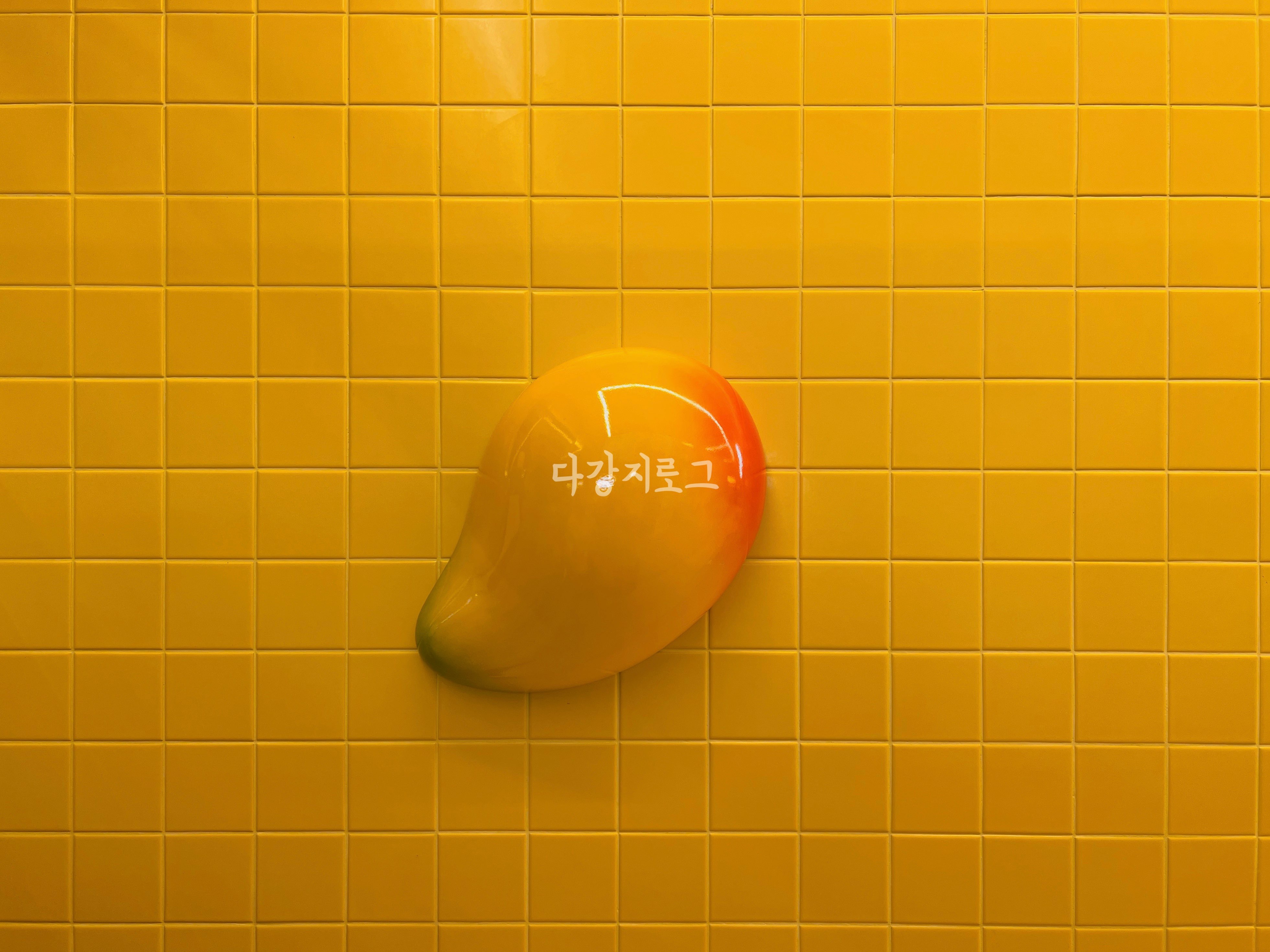 광주 찐망고주스 고망고