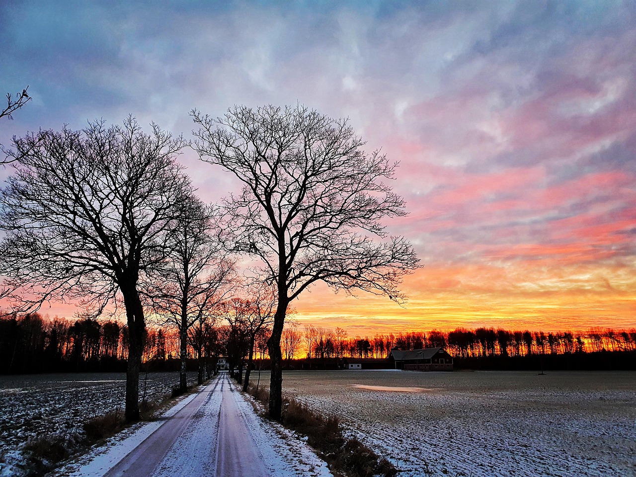 슬로우 라이프 60 : 느린 삶 유지 전략 – 다시 빨라지지 않기 위한 장기 계획