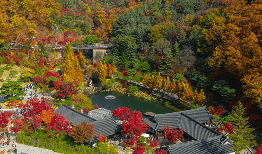 화담숲-단풍-절정시기