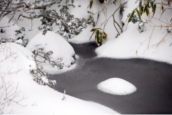 한라산 백록샘 개방! 관람 방법&middot;예약 꿀팁 총정리