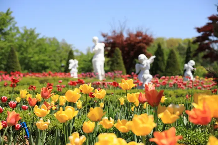 퍼스트가든 봄꽃축제 - 블루밍가든