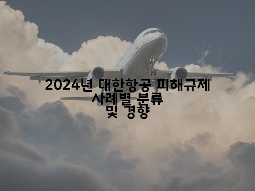 2024년 대한항공 피해규제 사례별 분류 및 경향