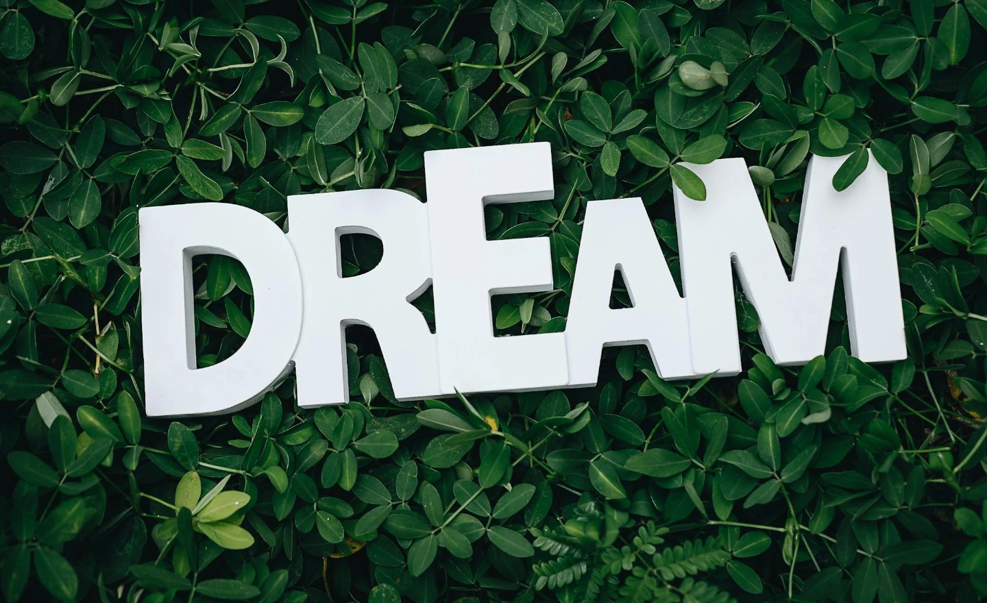 명상과 루시드 드림 – 꿈을 컨트롤하는 법