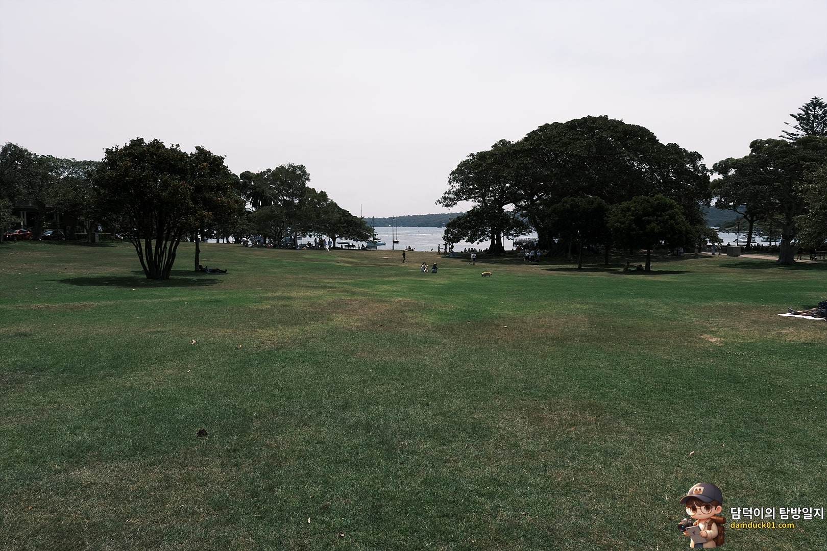 로즈 베이 비치 (Rose Bay Beach)