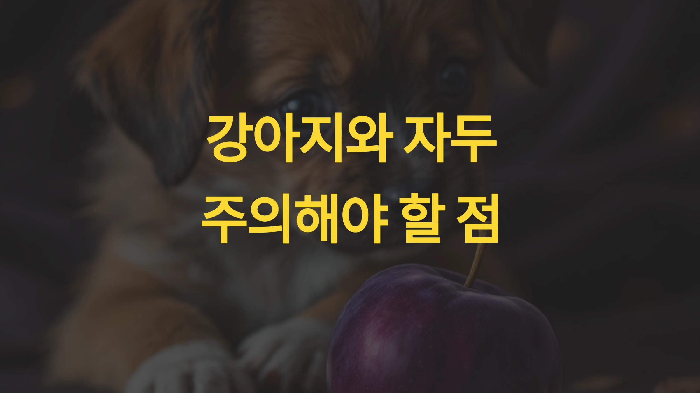 자두 씨앗의 독성 성분과 위험성