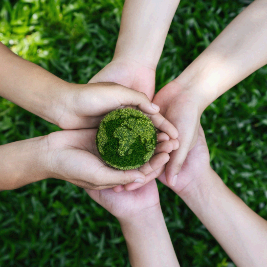 지질학 생물학 상호작용