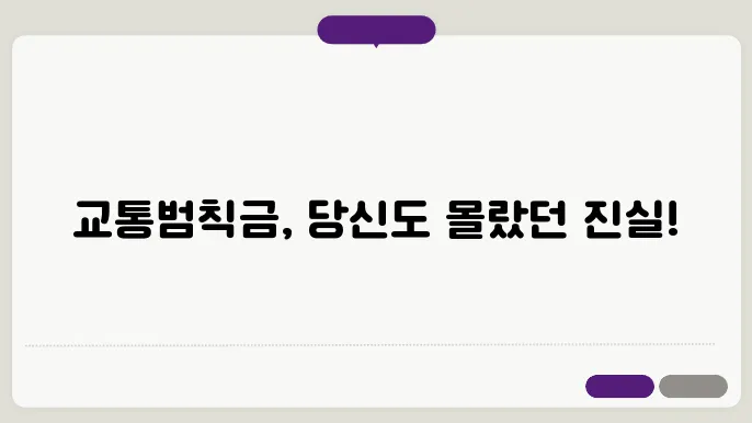 교통범칙금이란?