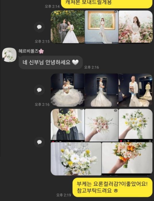 촬영요부케고르기