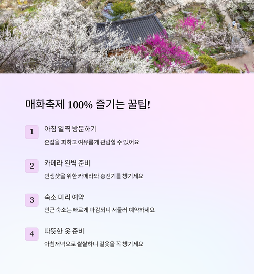 2025 광양 매화축제 즐기기 꿀팁