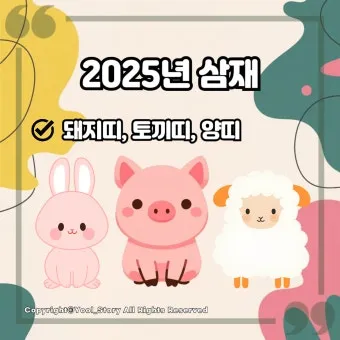 2025년 삼제띠 들삼재 눌삼재 날삼재에 대한 정보_6