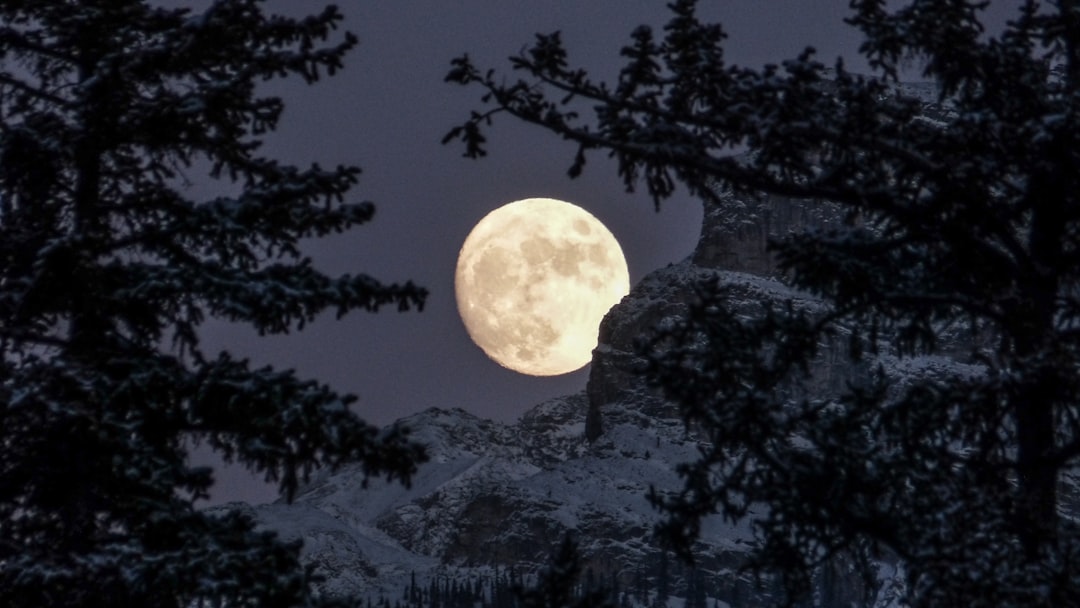 Moonlight