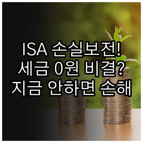 ISA 계좌 주식 ETF 투자 손실 ..
