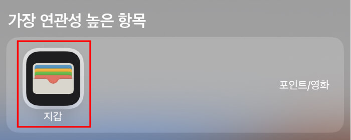 아이폰-바탕화면에-있는-지갑-앱