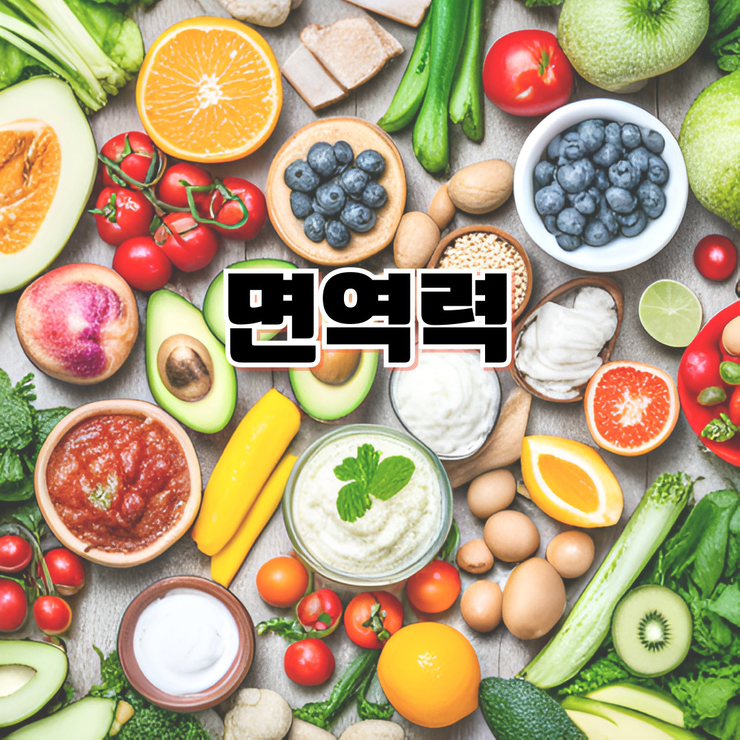 가을철 면역력 높이는 음식 10가지 🍎 감기 예방과 피로회복에 좋은 영양식 추천