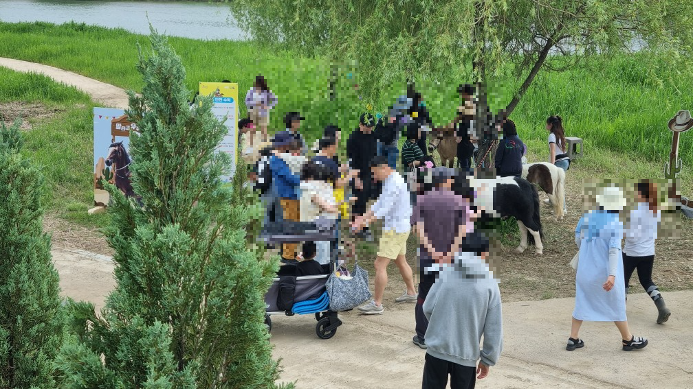 순천만국가정원 미니말 체험