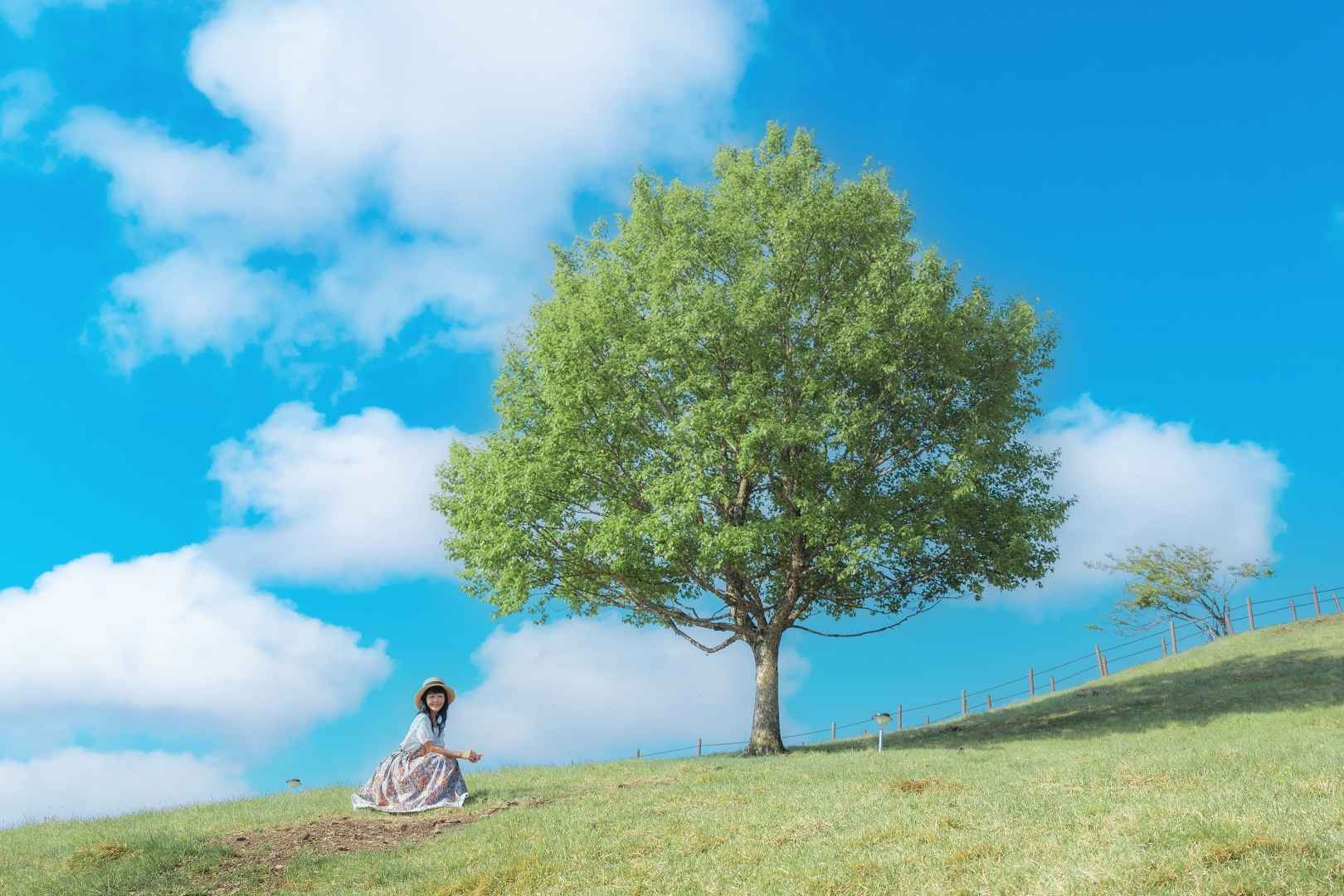 몽토랑 산양목장