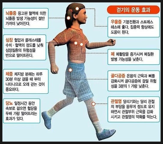 우울증과 운동