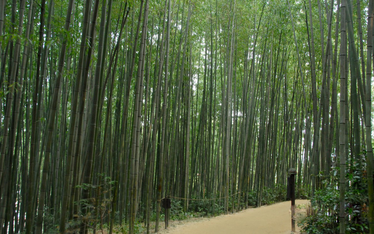 2025 건강도시 스탬프 투어