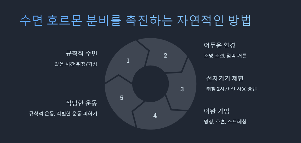 생체리듬