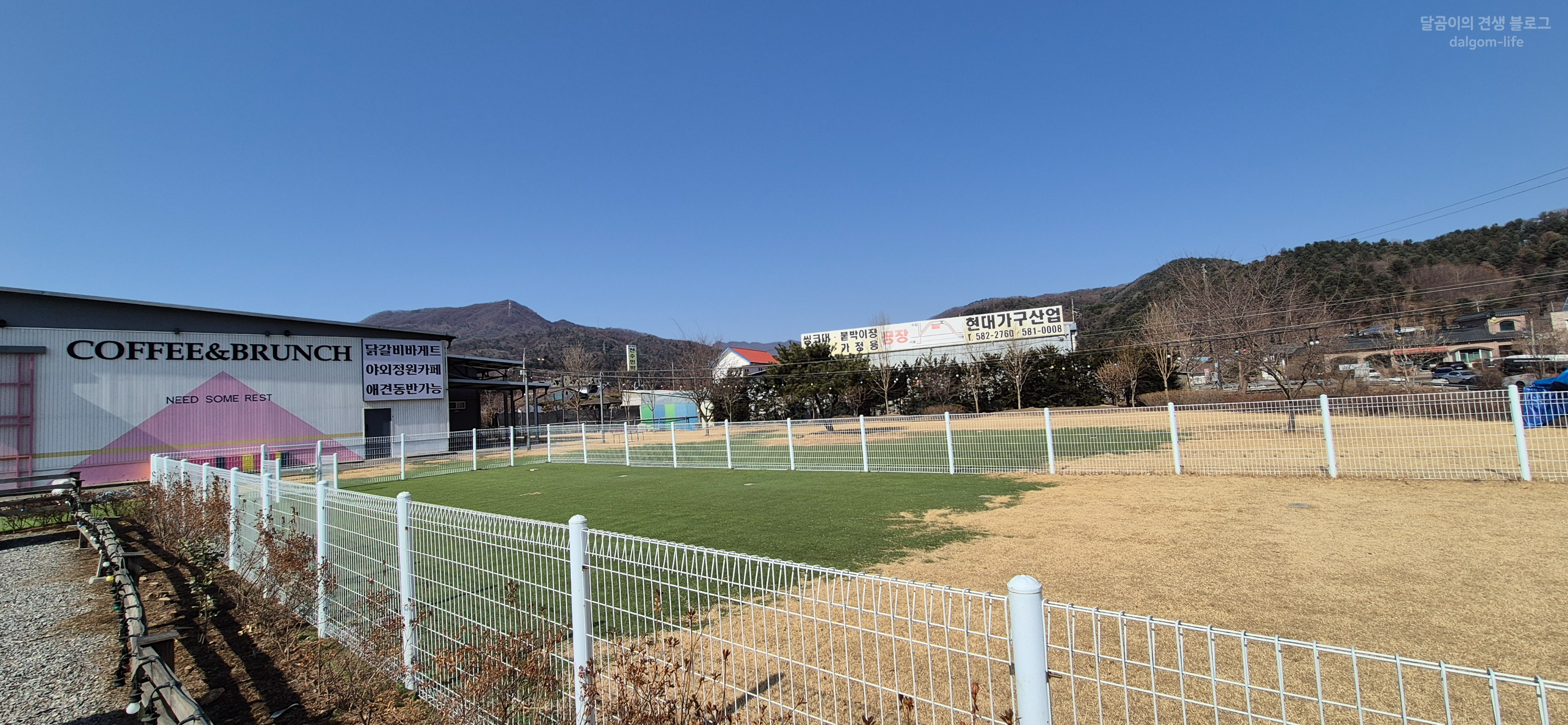 가평 애견동반 카페 니드썸레스트