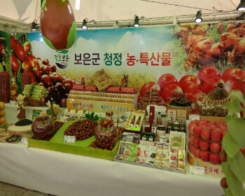 보은 대추축제_8