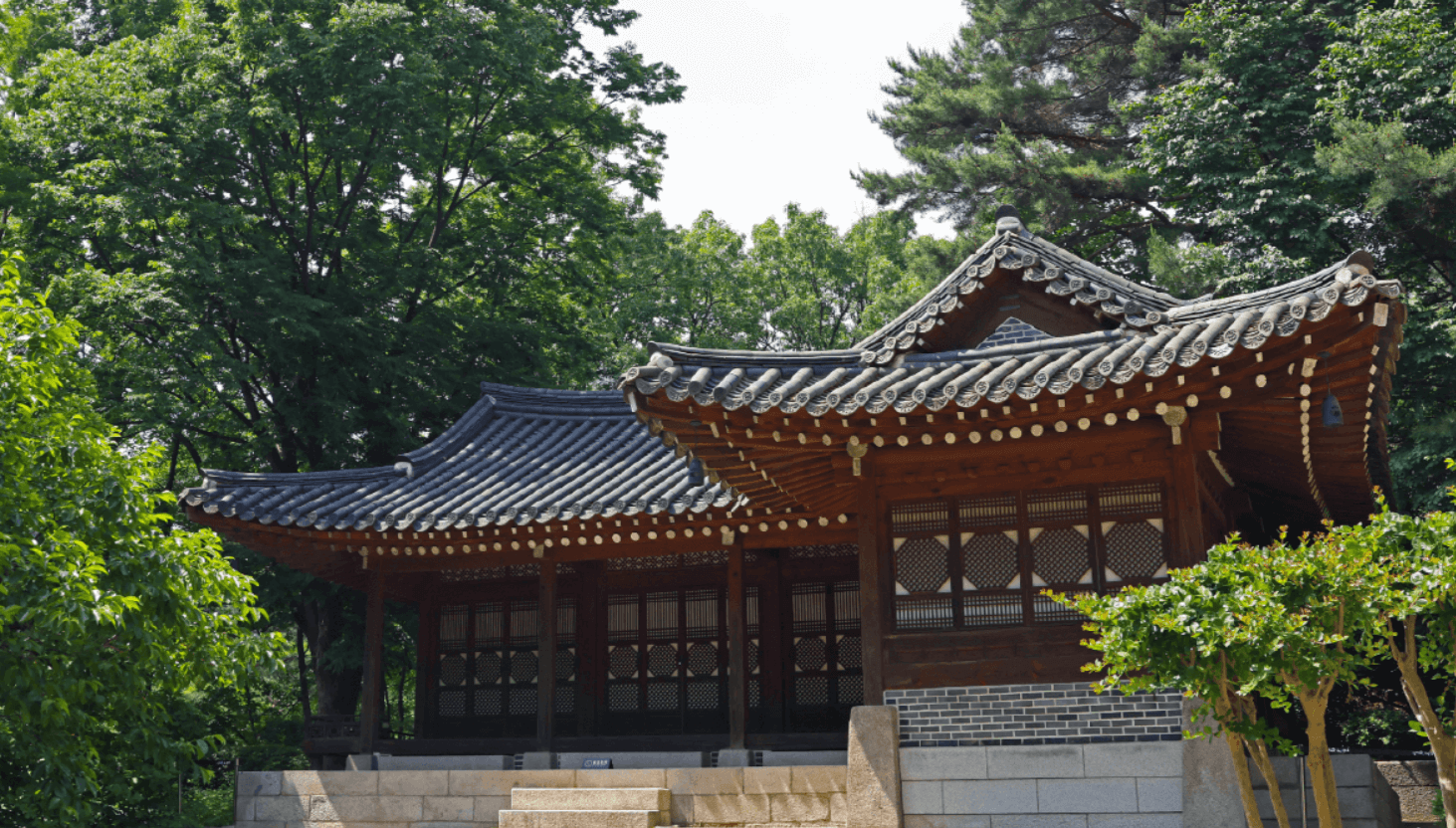 청와대 관람 신청