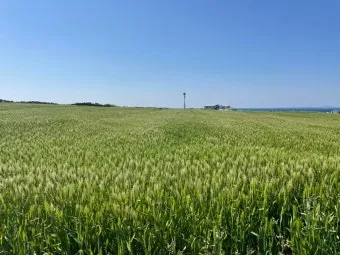 제주 가파도 가는 운진항 배 시간표 요금 예약 예매_19