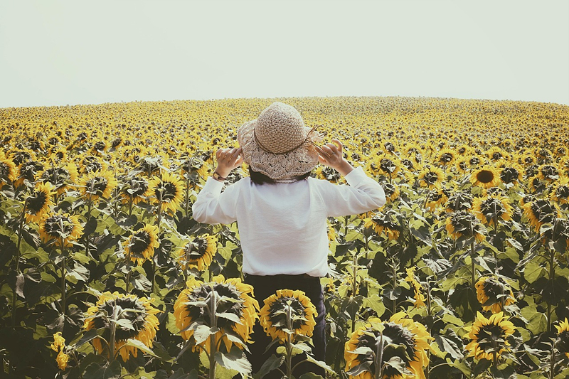 치매 안심센터, 서비스, 혜택, 이용 방법