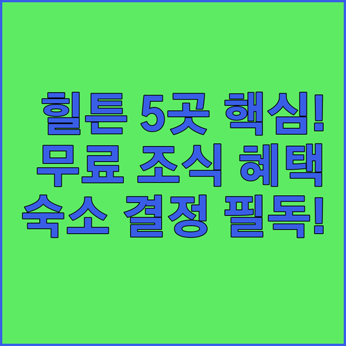 힐튼 로체스터 다운타운 교외 호텔 5..
