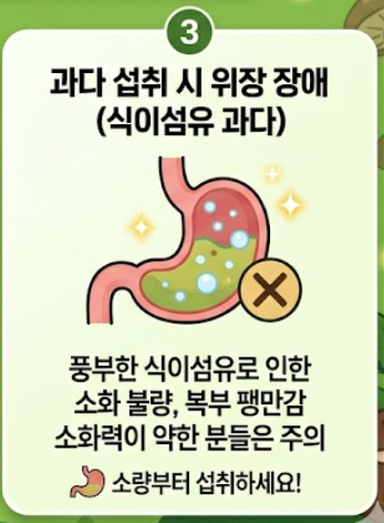 표고버섯 효능